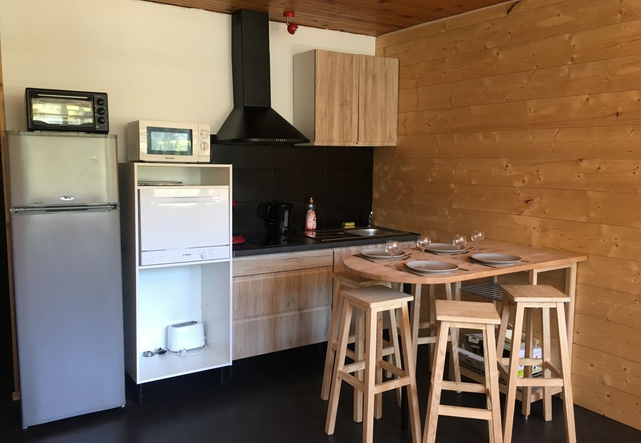 Studio in La Bresse - Appartement Le Chitelet 215, vue pistes
