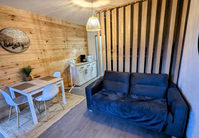 Studio in La Bresse - Le 307, Vue pistes La Bresse Hohneck