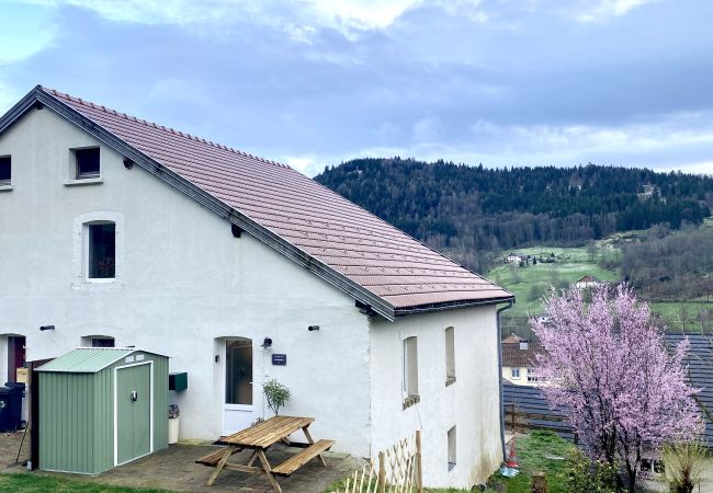 Ferienwohnung in Fresse-sur-Moselle - Le Coin du Randonneur, terrasse et jolie vue