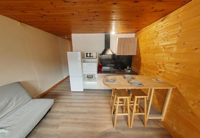 Studio in La Bresse - Le Chitelet 215, appartement vue pistes Hohneck