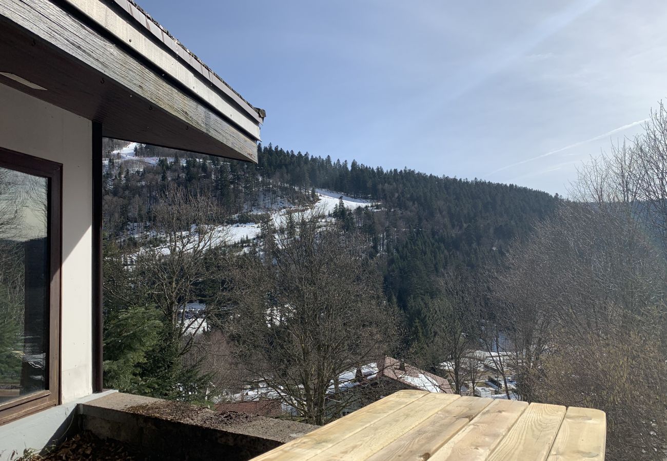 view, chalet, La Bresse, ski slopes, winter, location, mountain, Vosges, stay, comfort 