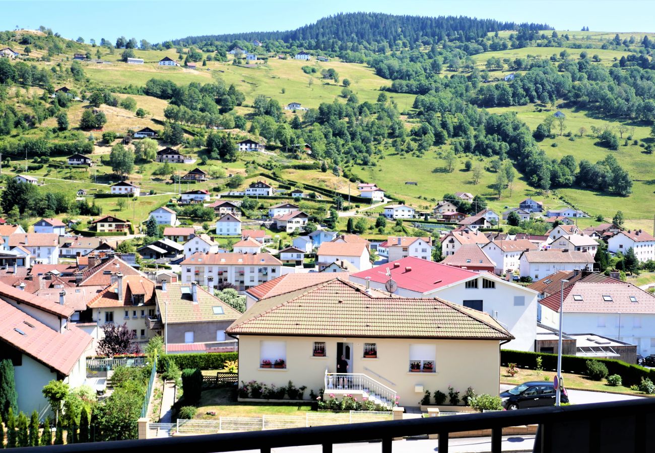 Holidays in the Vosges, studio in La Bresse, mountain, stay, ski slope, Hohneck, apartment rental La Bresse 