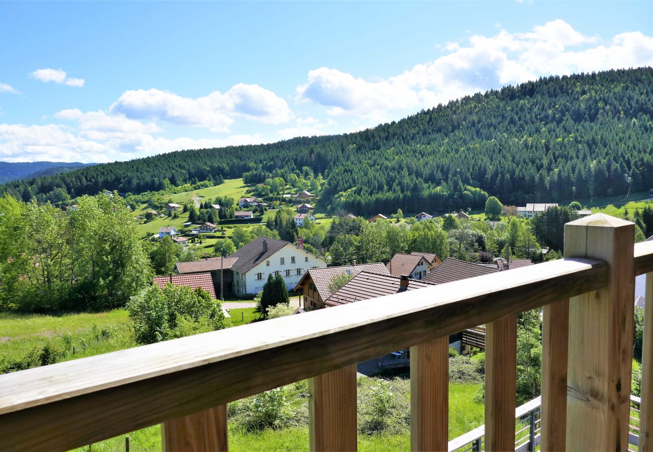 Xonrupt-Longemer, family chalet, stay in the Vosges, mountain, stay, walk, lake