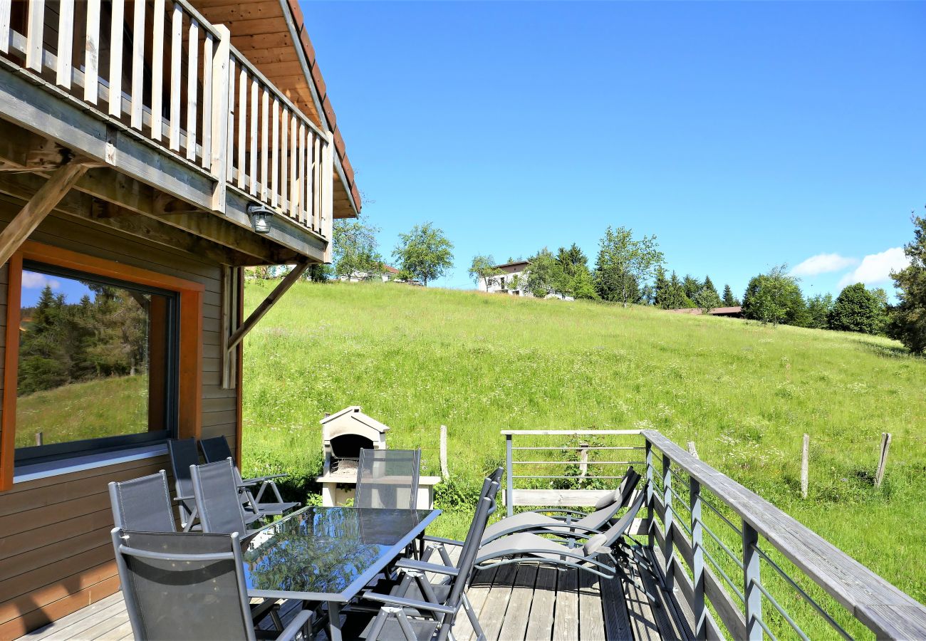 stay in the Vosges, mountain, calm, nature, family, friends, view, Vosges reliefs
