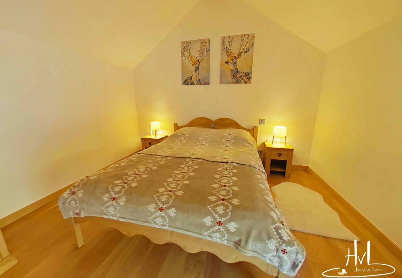 Chalet in Ventron - Chalet Montanea
