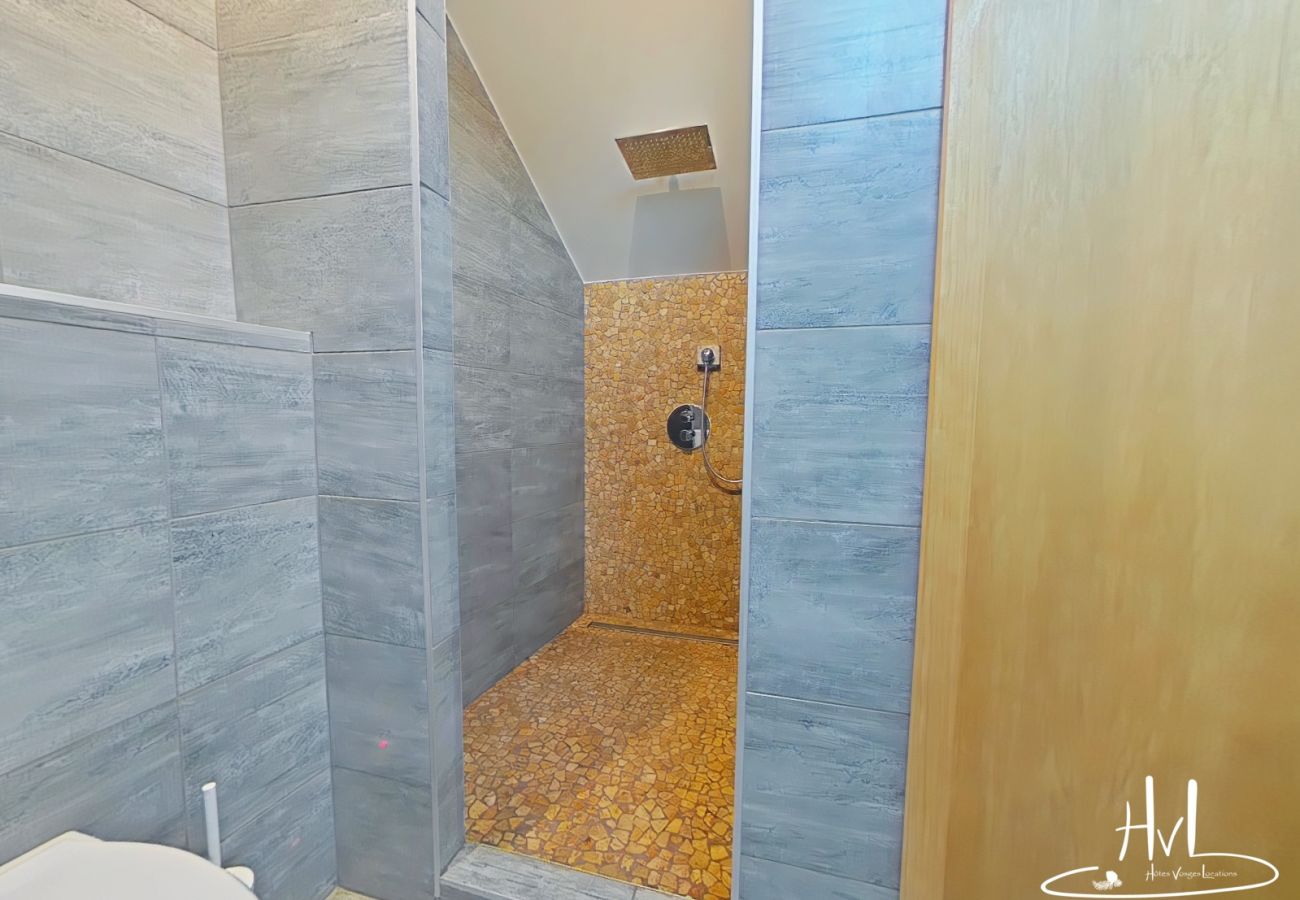Chalet in Ventron - Chalet Montanea