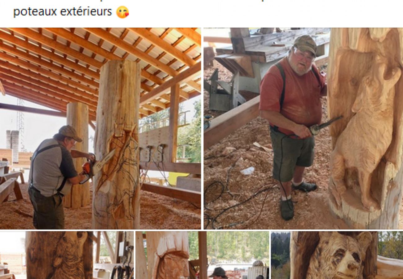 Unique chalet in the heart of the Vosges, family holidays, mountain holidays, nature, Canada