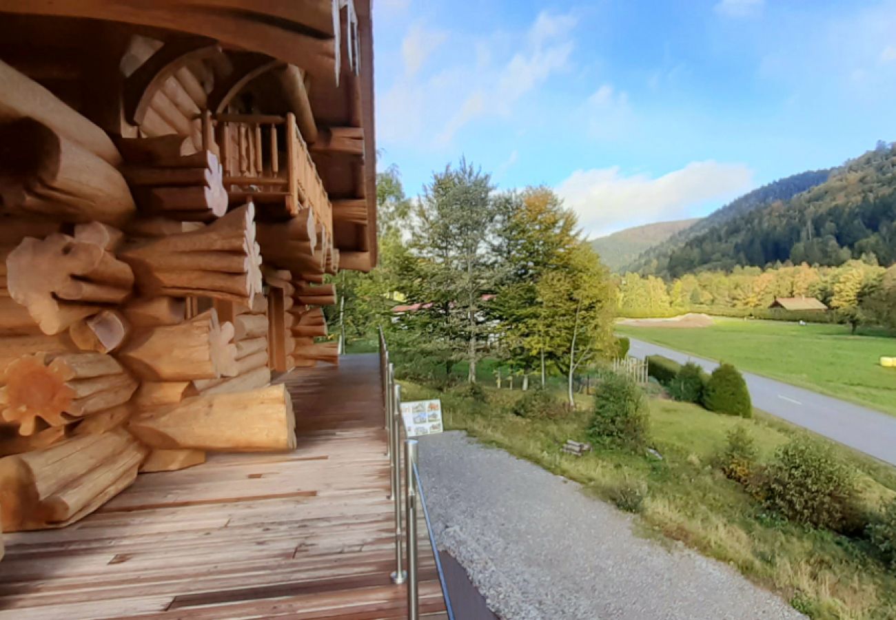 View of the Vosges, family holidays, top-of-the-range stay, services, billiards, spa, sauna