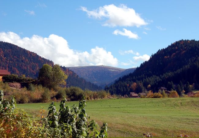 chalet in Xonrupt-Longemer, lake, hiking, family, Gérardmer