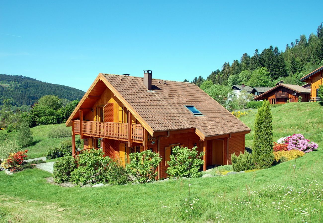 family holidays, mountain, Vosges, chalet, nature, Xonrupt-Longemer