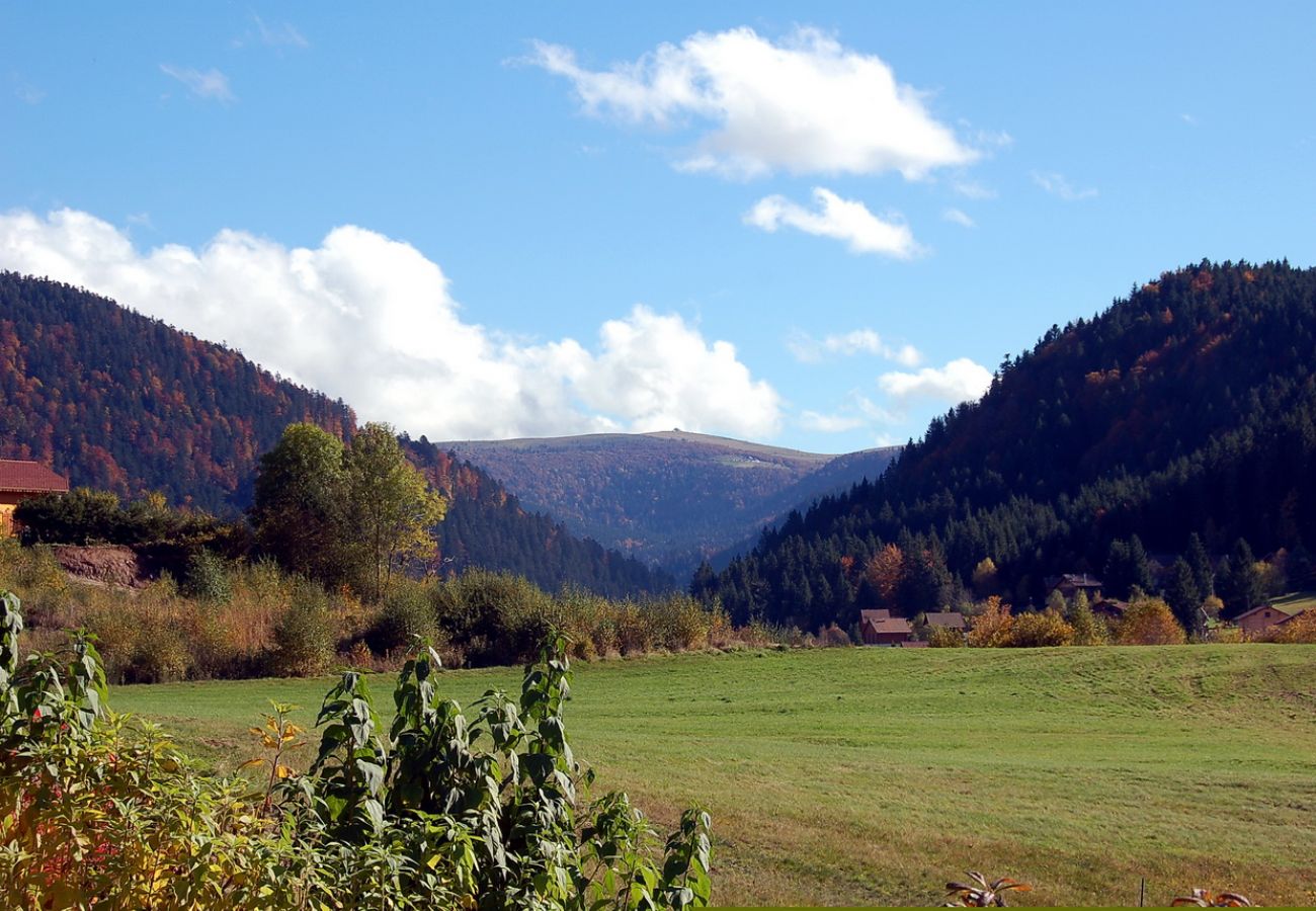mountain holidays, family, friends, stay in the Vosges, comfortable chalet