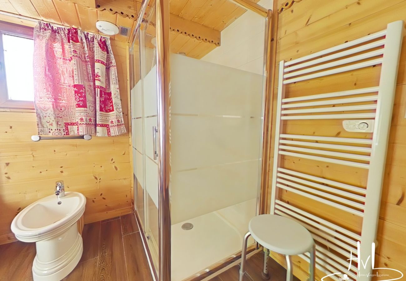 Chalet in La Bresse - Chalet des Trois Vallées