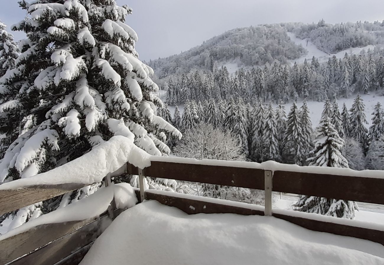 Holidays, stay in the Vosges, apartment, vacation rental, winter