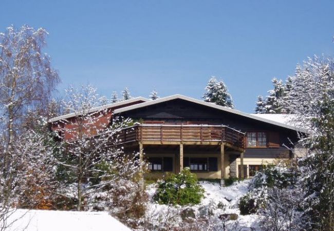 family holidays, chalet rental in Gérardmer, comfort sauna, hammam, friends, mountain