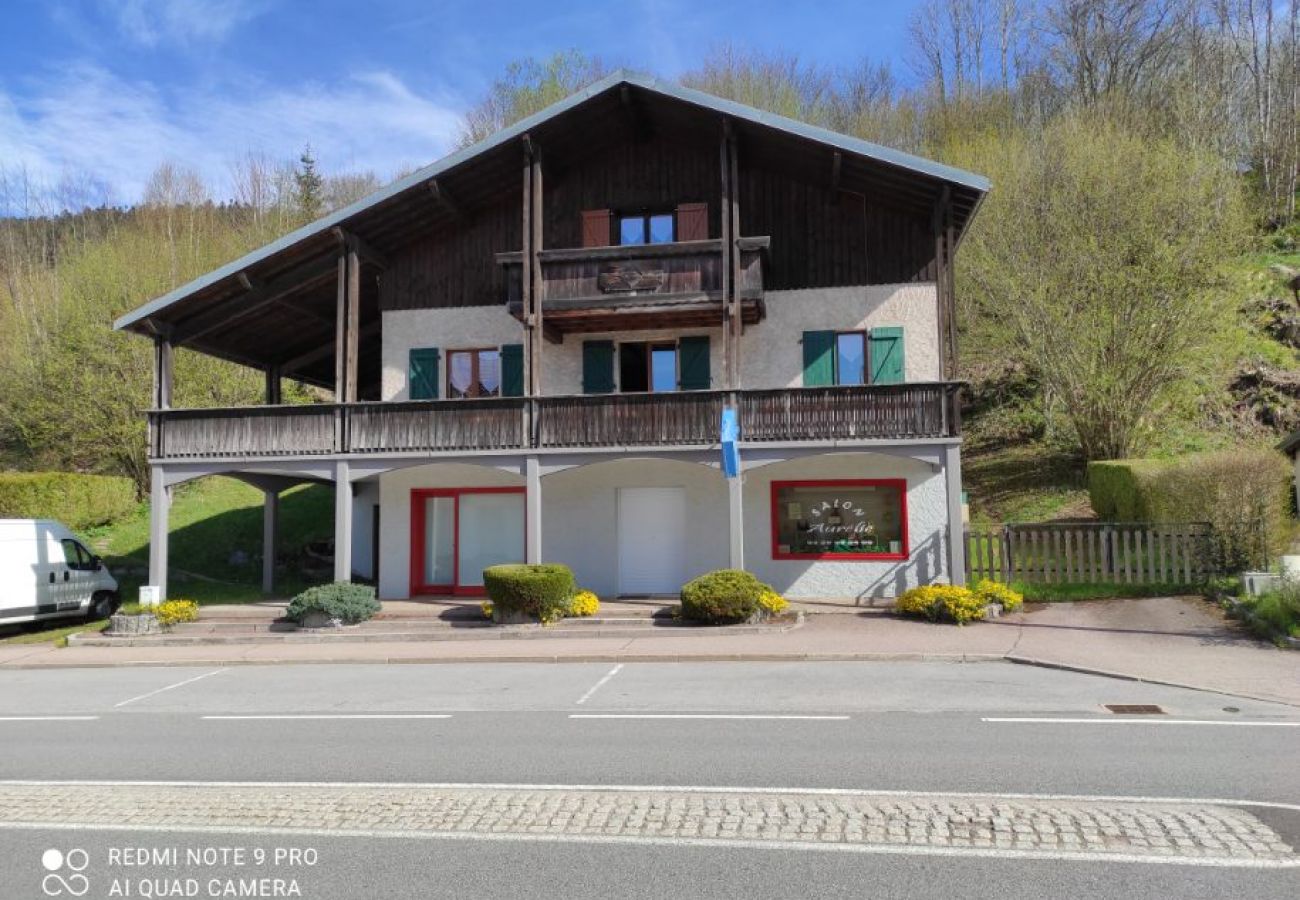 holidays in the Vosges, family stay, apartment, comfort, lake, ski slopes
