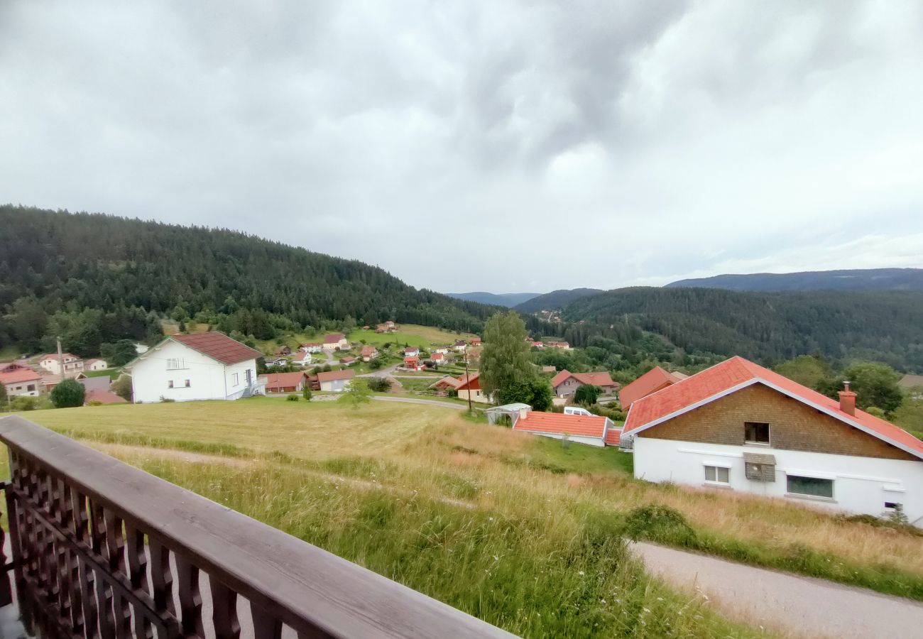 well-equipped house, mountain, vosges, bnb, holidays, family, 6 peoples