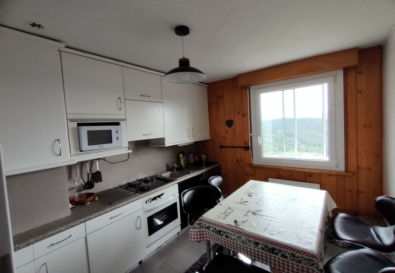 stay for 6 people, gérardmer lake, lake view, seasonal rental