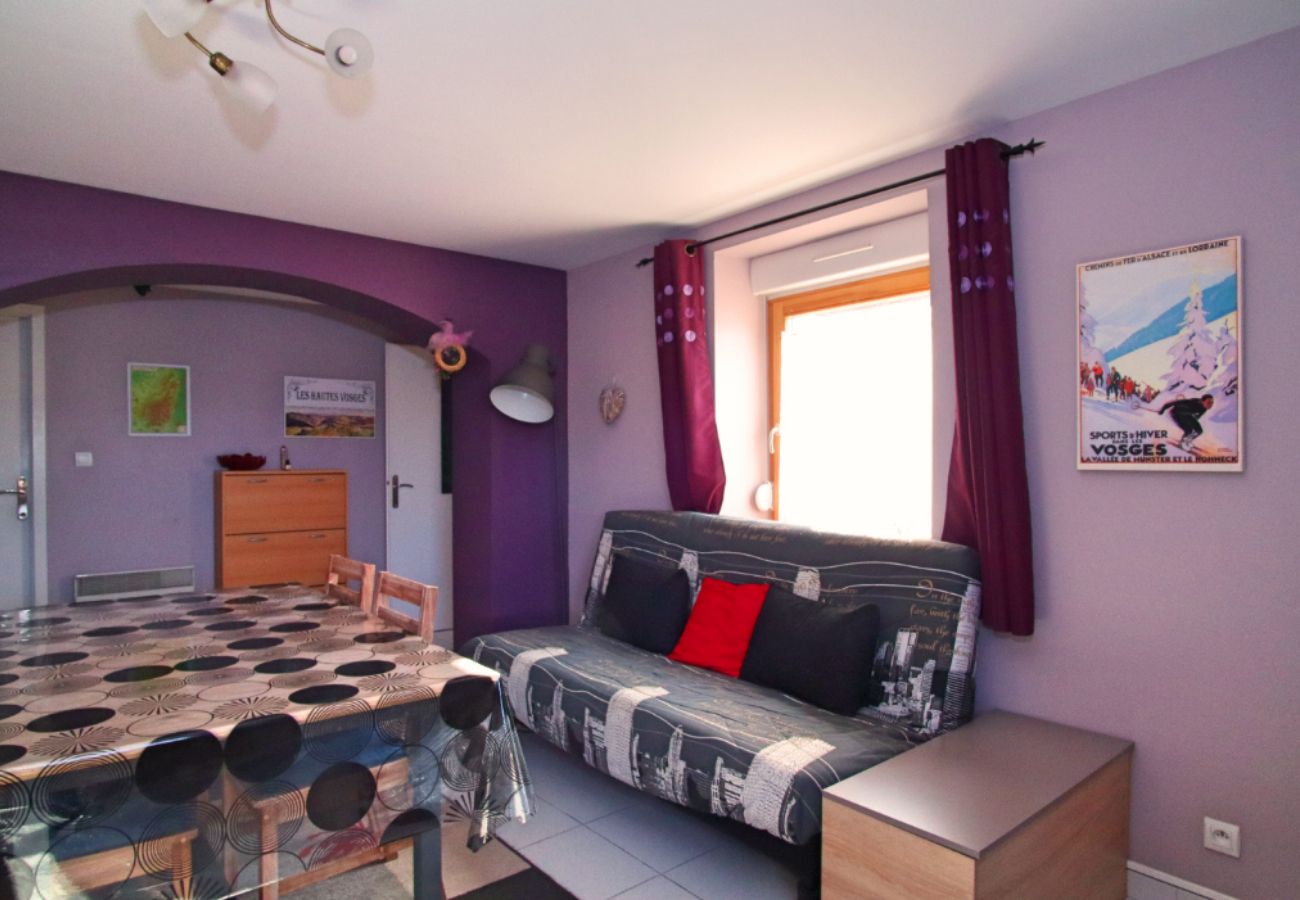 Vosges stay, ski holidays, Hautes Vosges, family holidays, winter