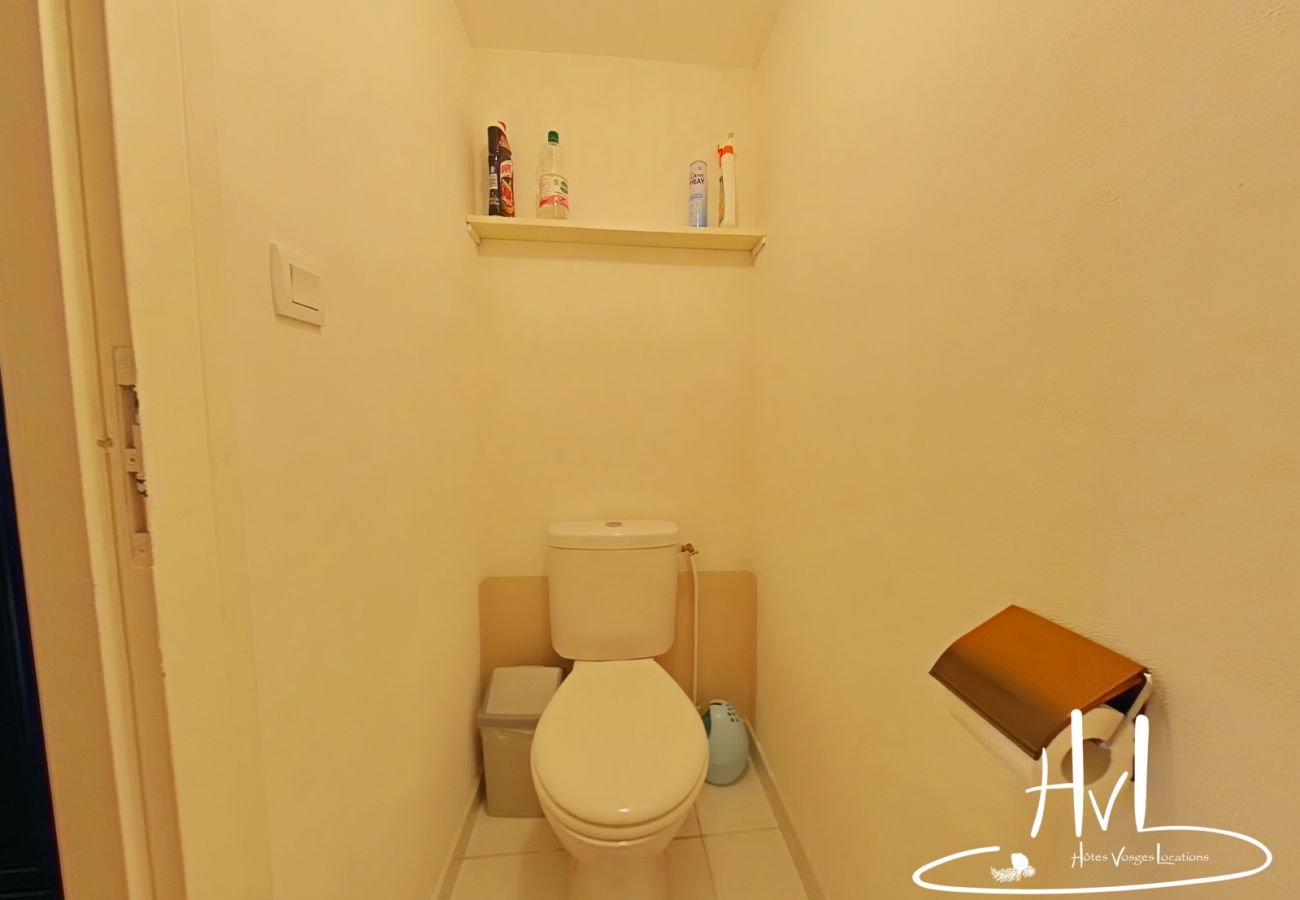 Apartment in La Bresse - Appartement les bouchaux