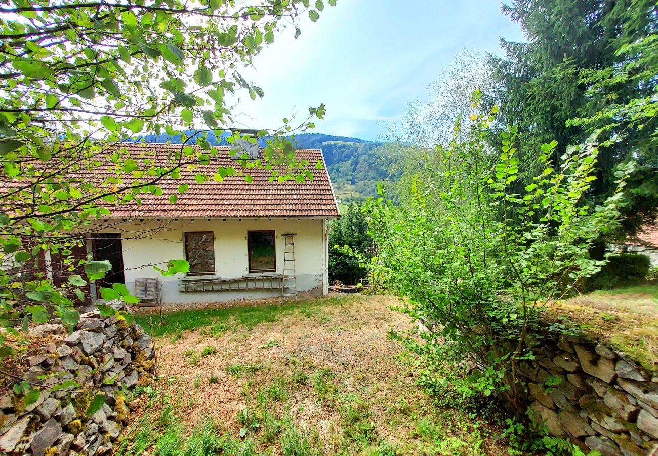 House in La Bresse - La Parenthèse, Calme et jolie vue