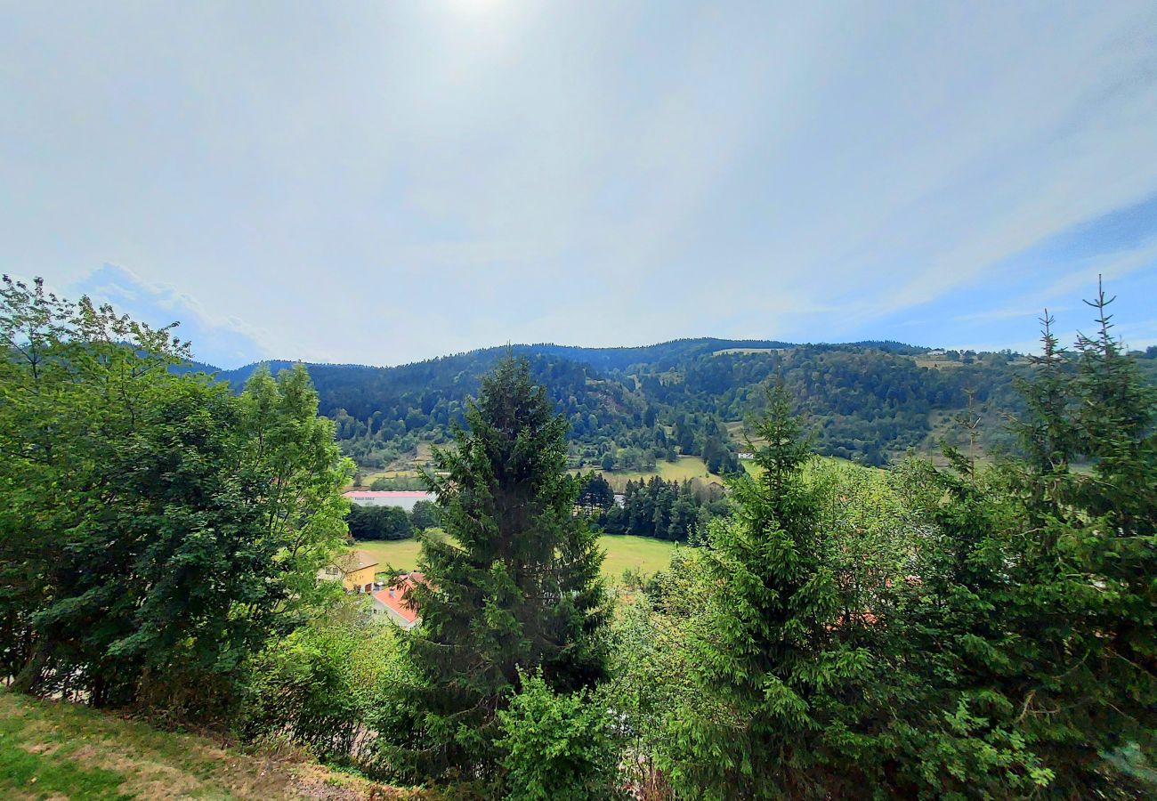 House in La Bresse - La Parenthèse, Calme et jolie vue