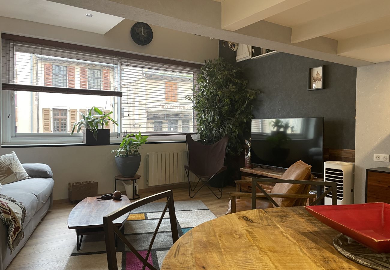   Rodez, stay, wifi, work, vacation, Aveyron, loft, city center, occitanie