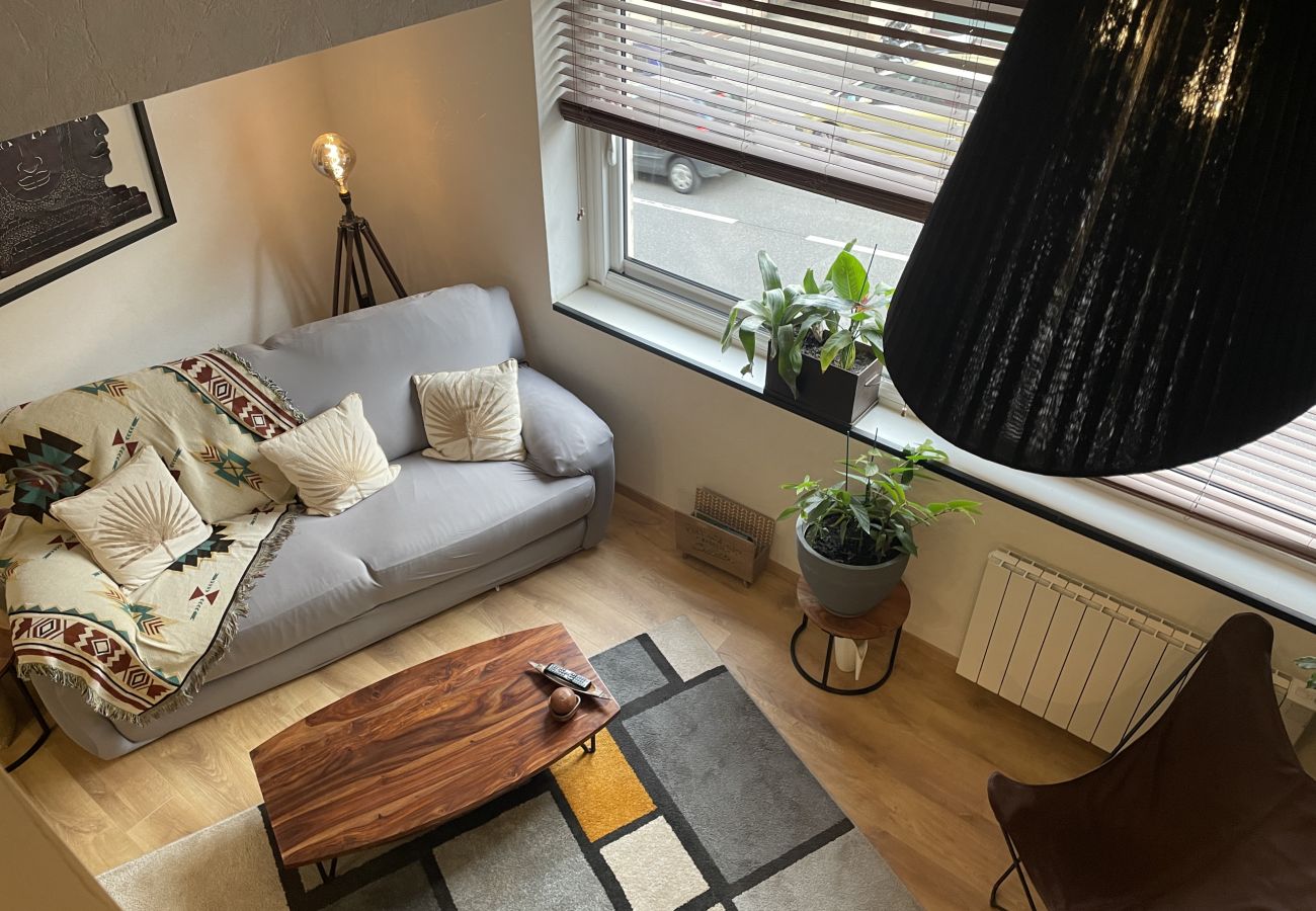 Rodez, stay, wifi, work, vacation, Aveyron, loft, city center, occitanie