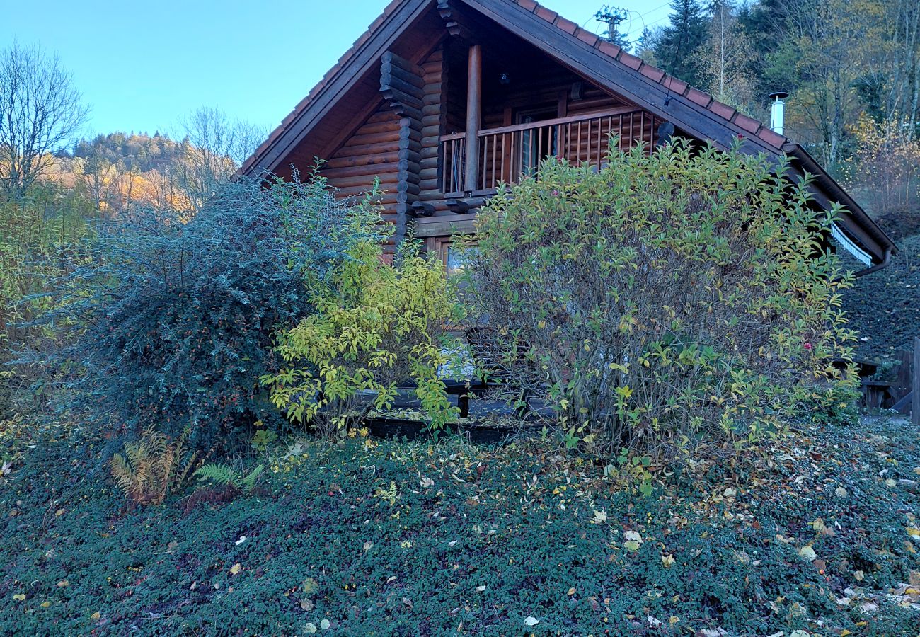 Chalet in Basse-sur-le-Rupt - Le chalet de La Burotte