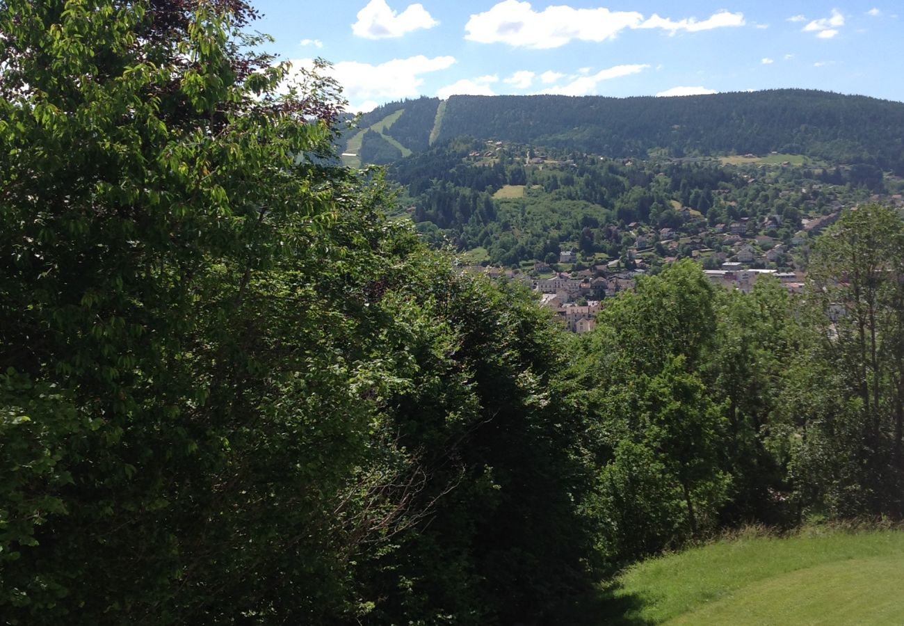 Studio in Gérardmer - Les dryades B2 vue sur la vallée