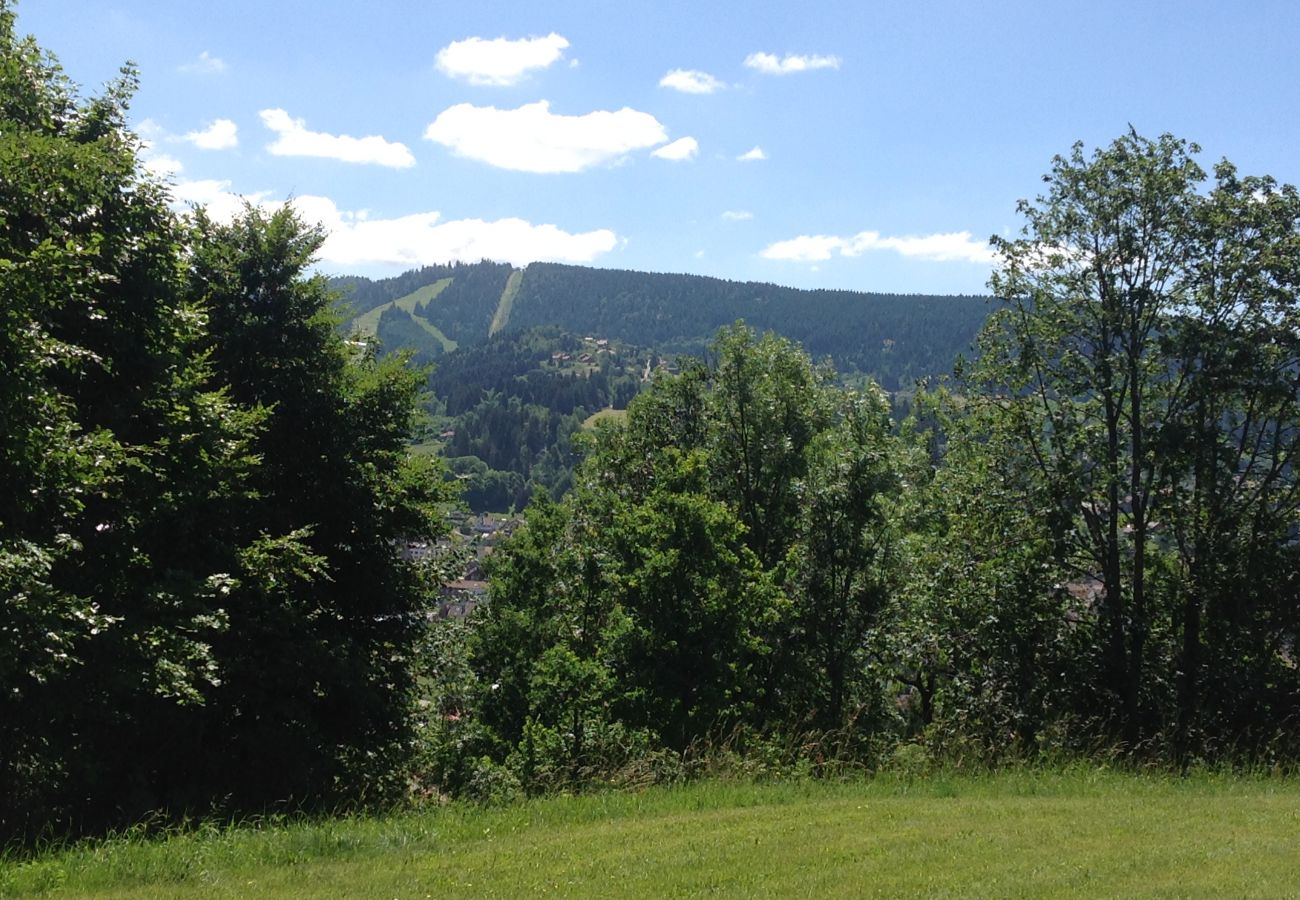Studio in Gérardmer - Les dryades B2 vue sur Gérardmer