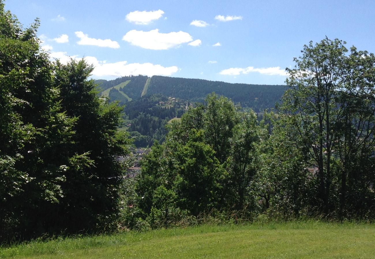 Studio in Gérardmer - Les dryades B2 vue sur la vallée