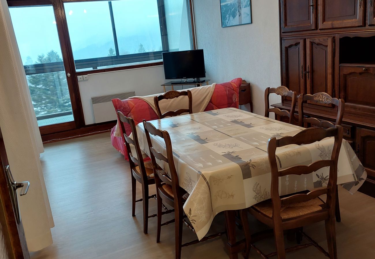 Apartment in La Bresse - Le chitelet rouge