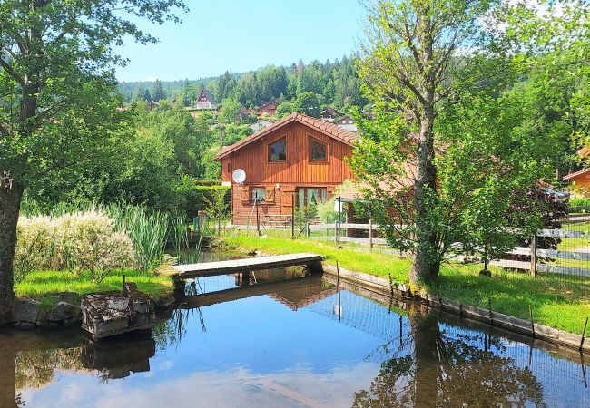 Villa in Xonrupt-Longemer - Le chalet d'Auviana