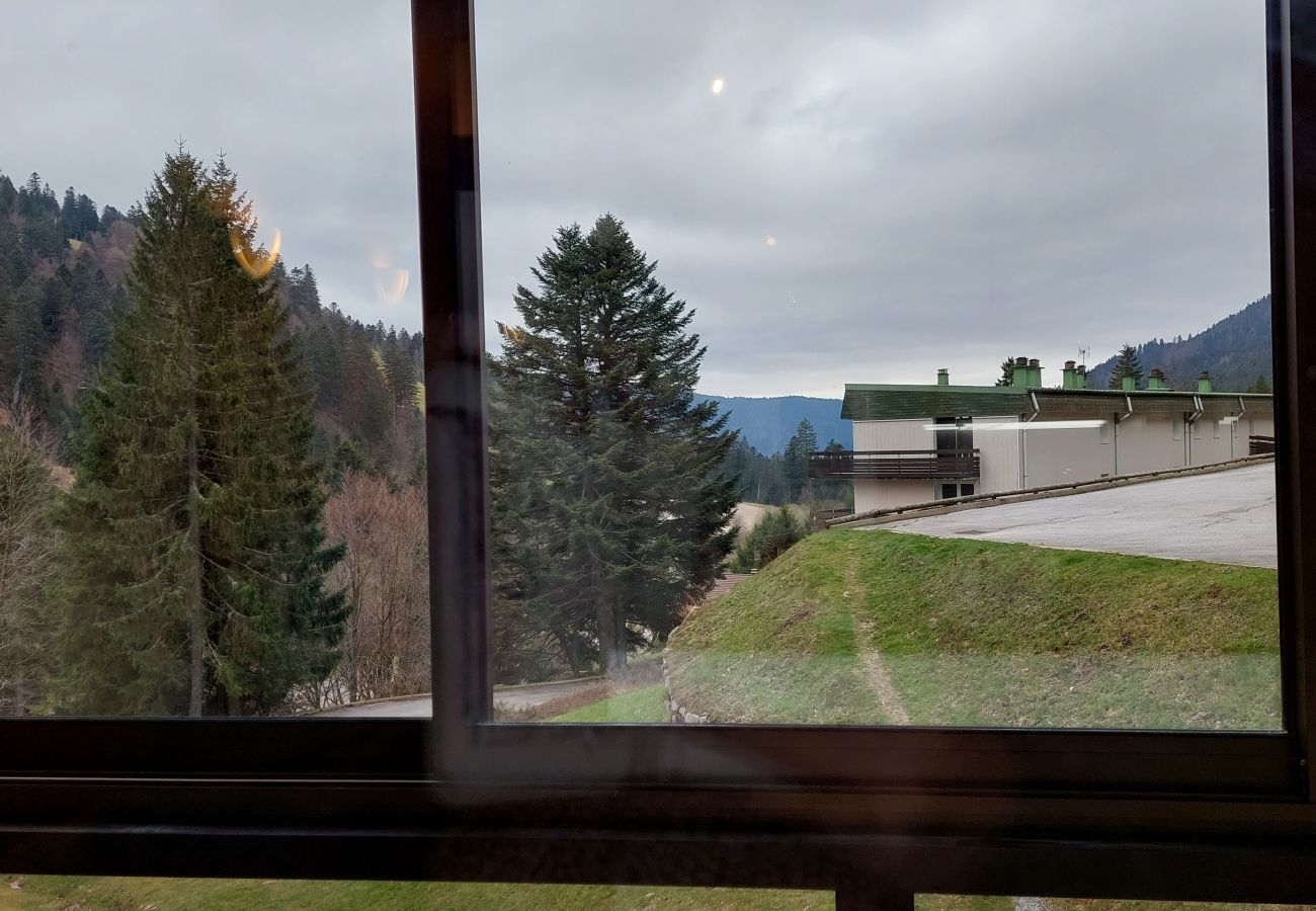 Studio in La Bresse - Appartement  Chitelet 102