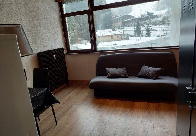 Studio à La Bresse - Le 8bis, vue pistes