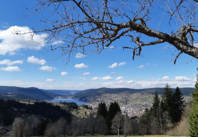 studio, Gérardmer, vosges, Hautes Vosges, vacances, séjour, famille, amis, lac, vue 