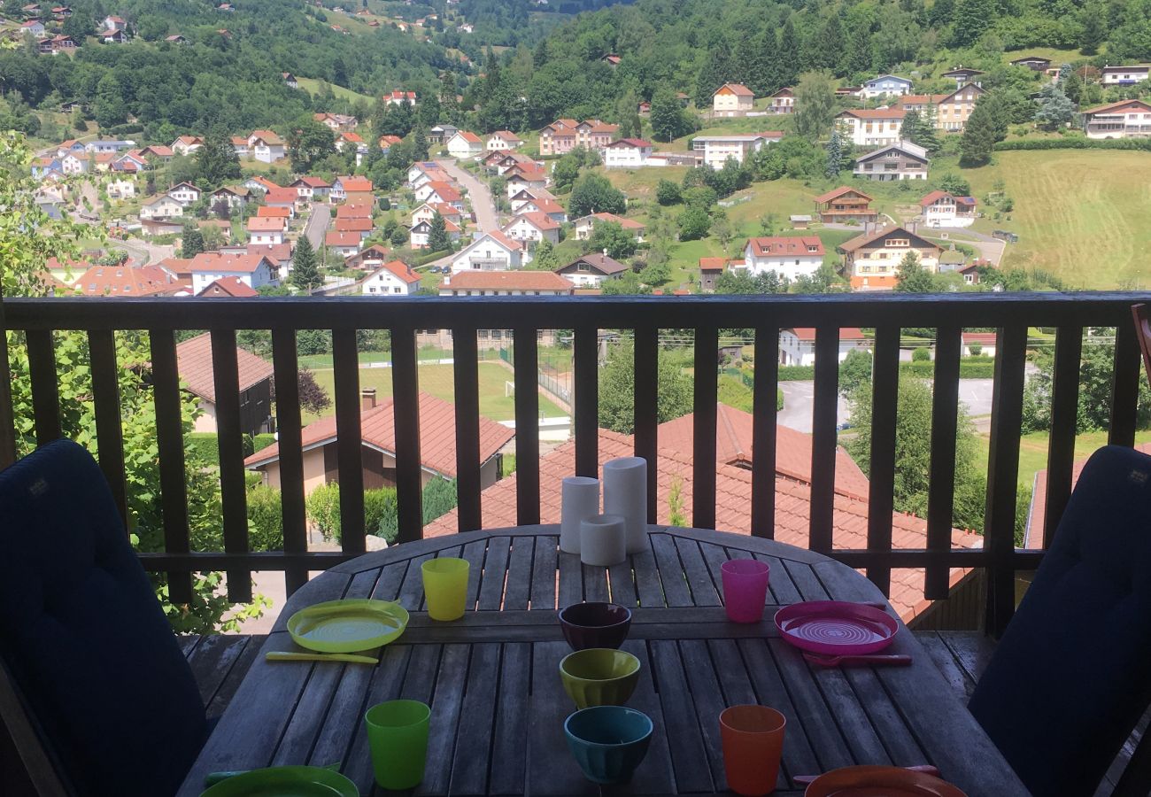 Chalet, vacances en famille, séjour à la Bresse, Hohneck, centre-ville, piste de ski, lac, randonnée 