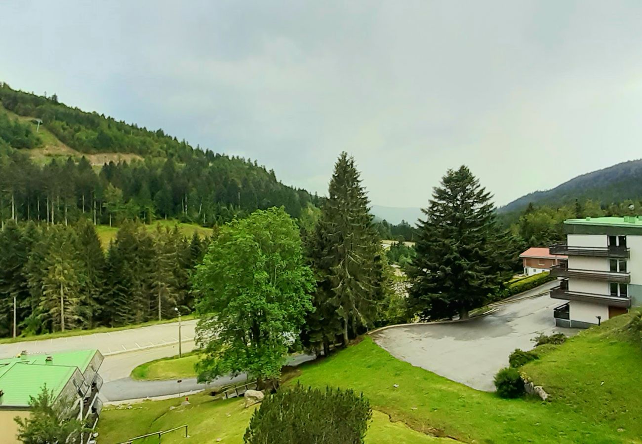 Vosges, Hautes Vosges, pied des pistes de ski, montagne, forêt, séjour dans les Vosges 