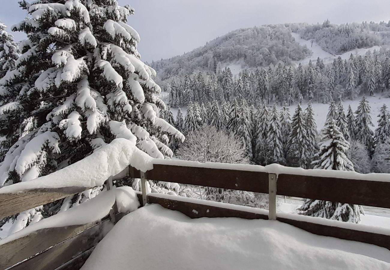Vacances, séjour dans les Vosges, appartement, location de vacances, hiver