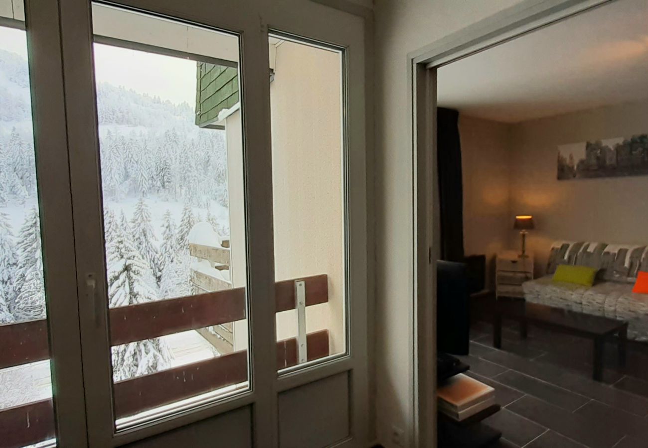 Séjour dans les Vosges, vacances en famille, hautes Vosges, piste de ski, hiver, lac, randonnée