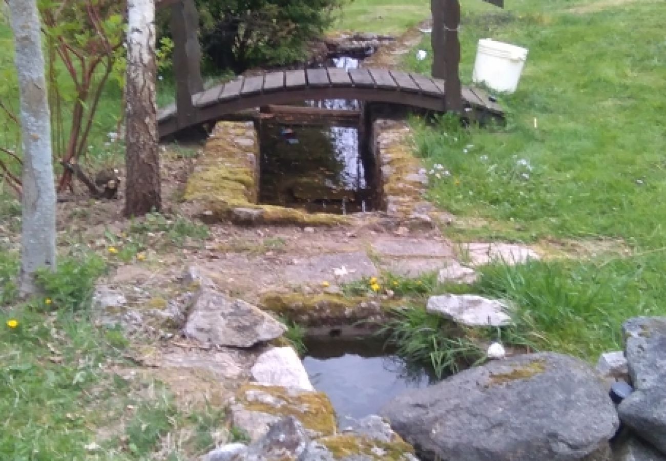 ruisseau, nature, calme, famille, amis, Vosges, vacances, sejour, beau chalet, environnement, agréable, verdure
