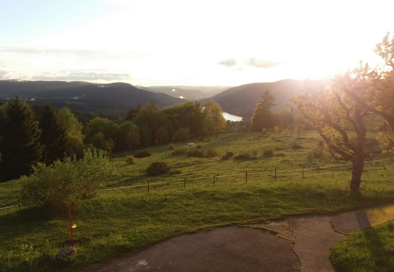 Studio in Gérardmer - Les Gouttridos vue lac